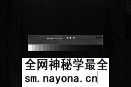 浙江周氏族谱-乐成东溪周氏宗谱 [不分卷].pdf电子版预览图