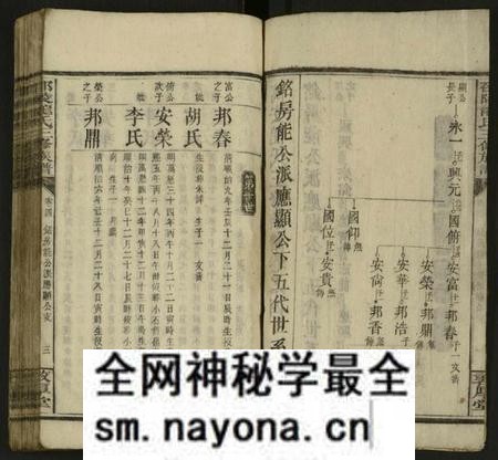 湖南龙氏族谱-邵陵龙氏三修族谱 [残卷].pdf电子版预览图2