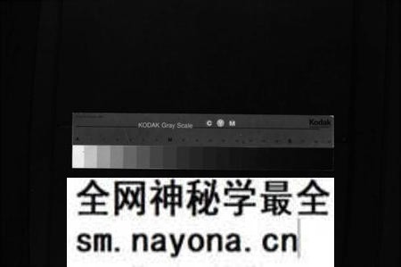 湖南罗氏族谱-罗氏续修族谱 [1卷,首1卷].pdf电子版预览图