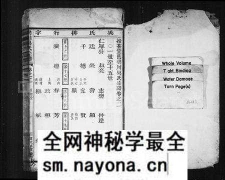 浙江吴氏族谱-樊川吴氏宗谱 [4卷].pdf电子版预览图2