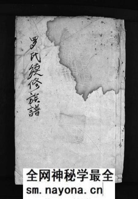 湖南罗氏族谱-罗氏续修族谱 [1卷,首1卷].pdf电子版预览图1