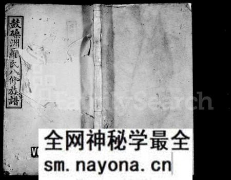 湖南罗氏族谱-罗氏八修族谱 [10卷,首末各1卷].pdf电子版预览图1