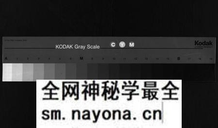 湖南刘氏族谱-社村刘氏三修族谱 [10卷,首末各1卷].pdf电子版预览图