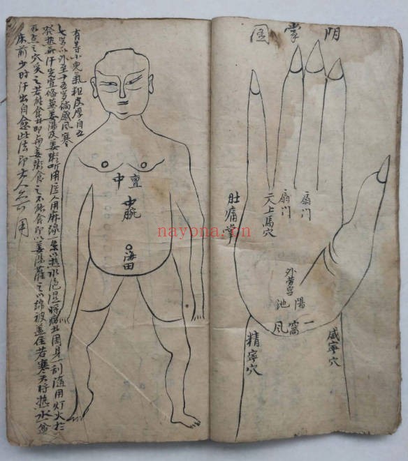 道医治症秘方手抄本140单面PDF 道医秘方