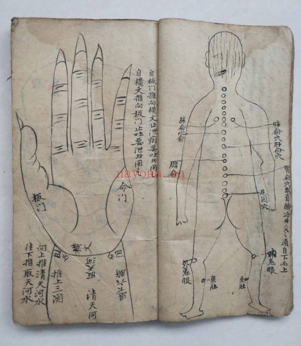 道医治症秘方手抄本140单面PDF 道医秘方