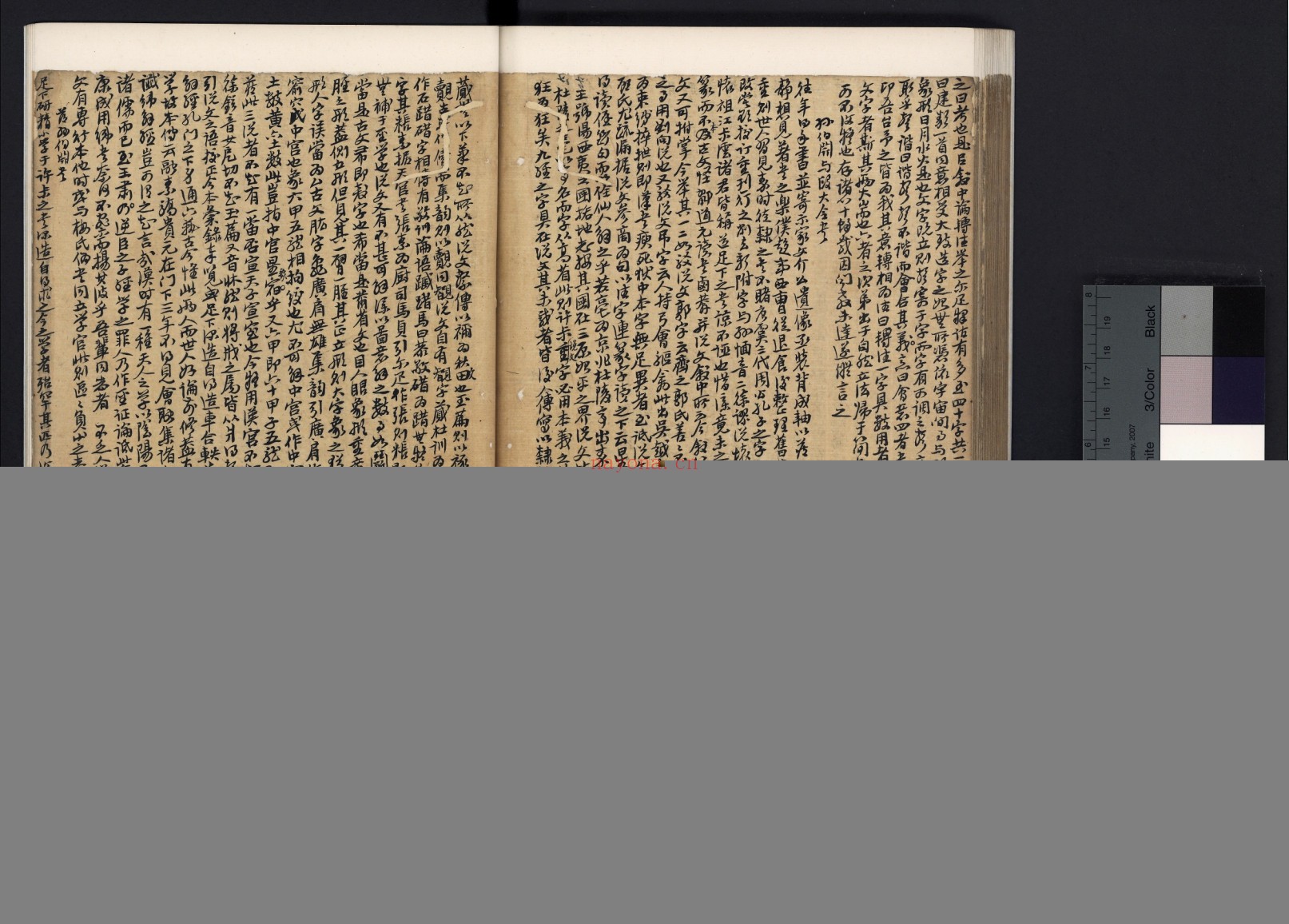 说文解字.三十卷.汉.许慎撰.清杨调元手写本
