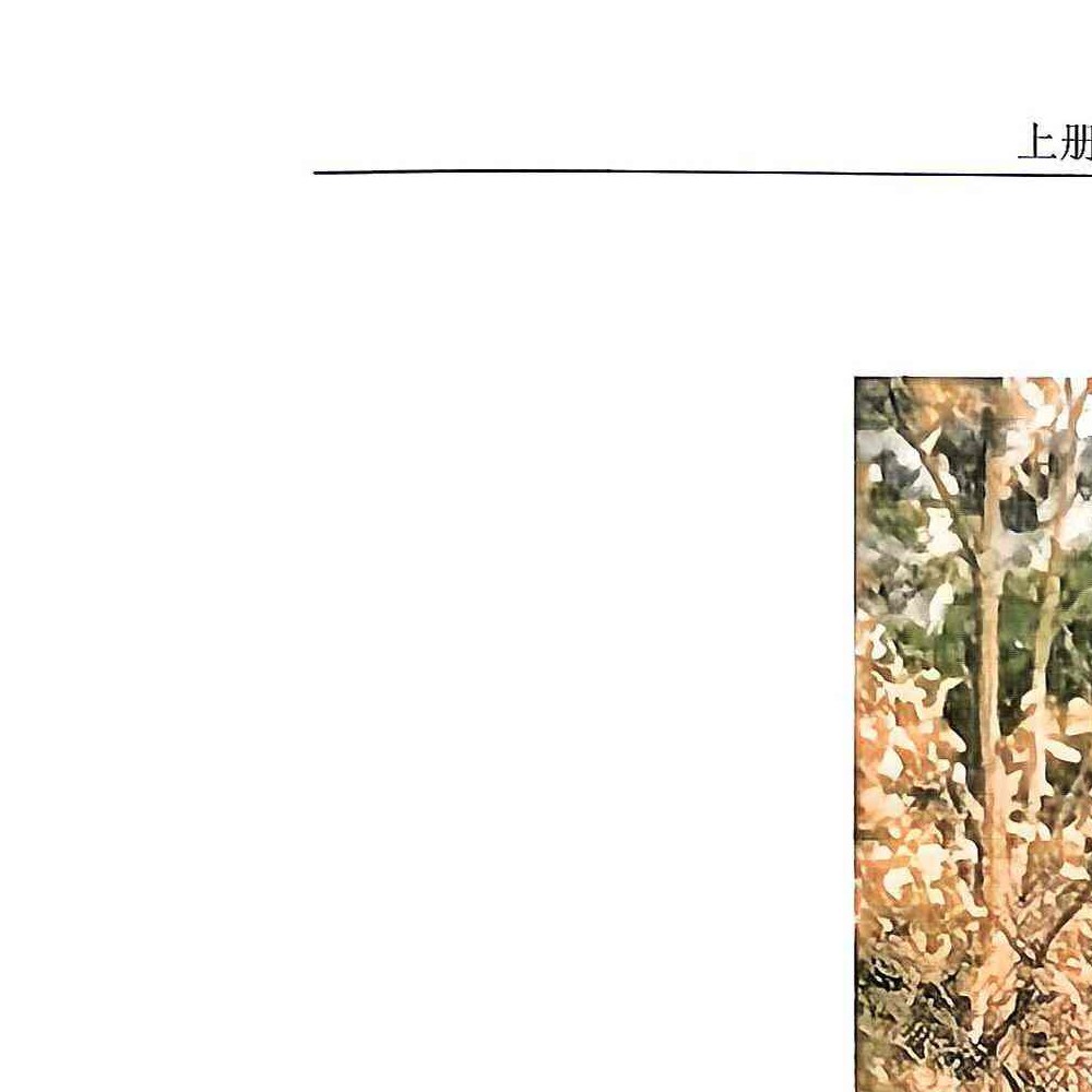 陈益峰 寻龙点穴真诀（上下册）pdf