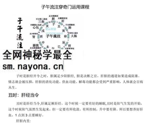 28星宿阵法+针灸奇门+子午流注穿奇门三套录音课程+文档