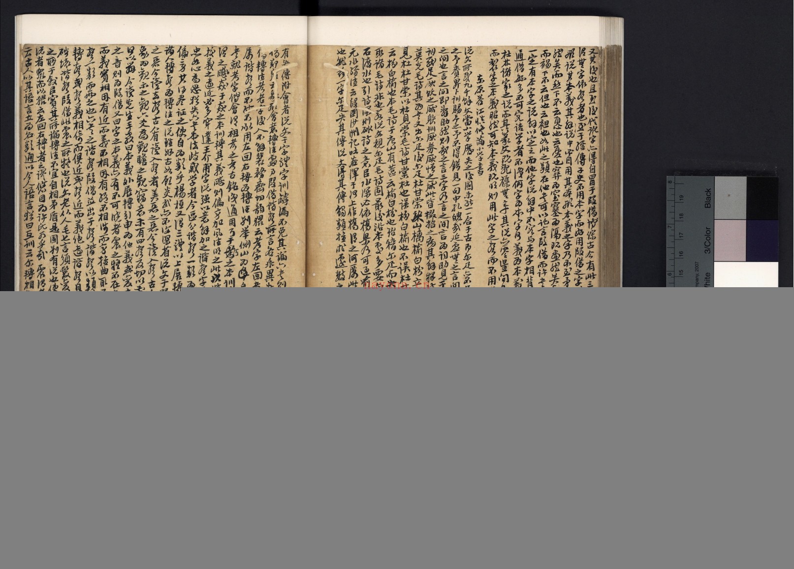 说文解字.三十卷.汉.许慎撰.清杨调元手写本