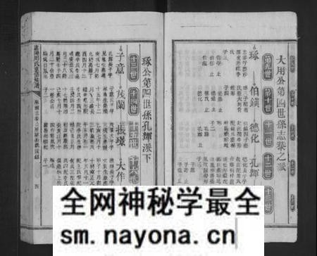 湖南周氏族谱-庐阳周氏重修族谱 [不分卷].pdf电子版预览图4