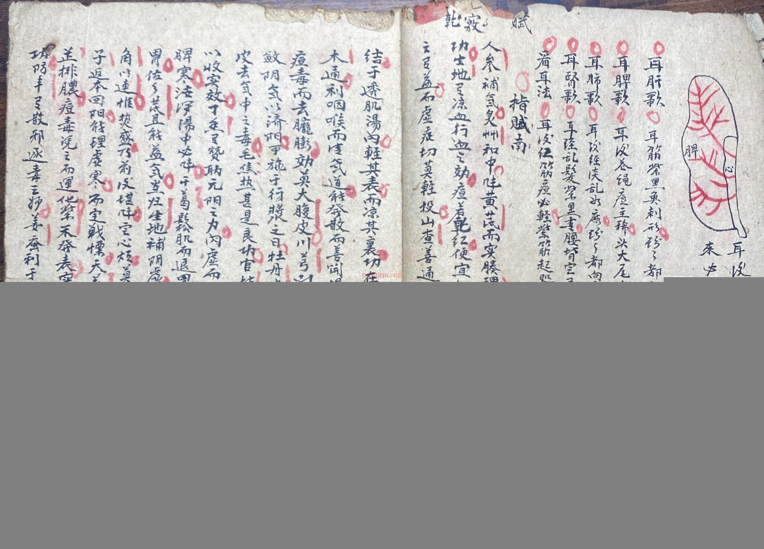 妙手生春医门广单