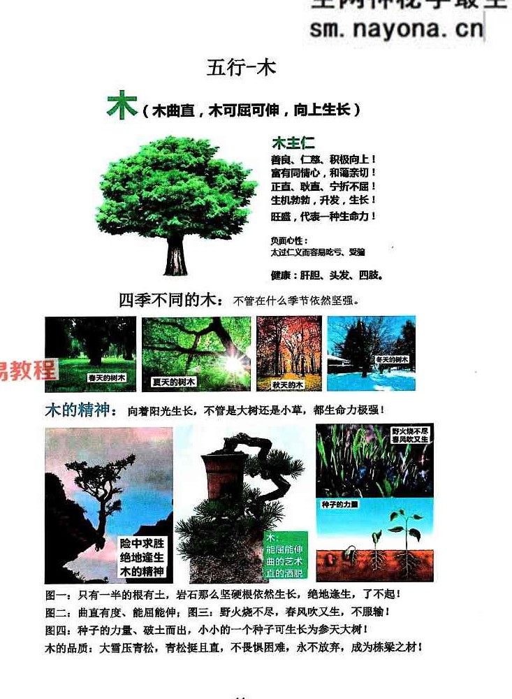 道家真传八字142页-彩色.pdf