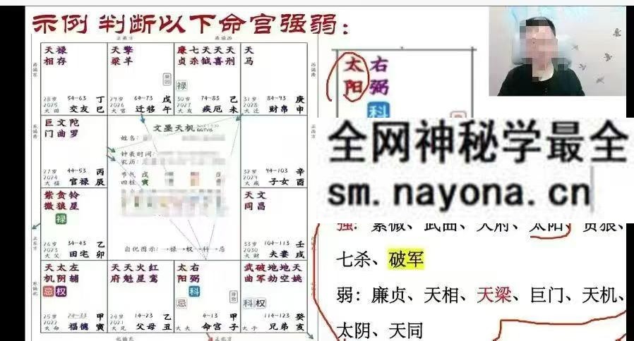 明鲸紫薇传承班
