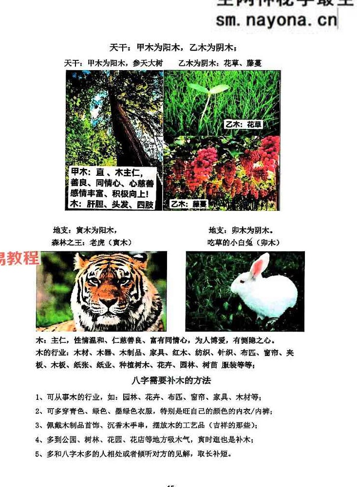 道家真传八字142页-彩色.pdf