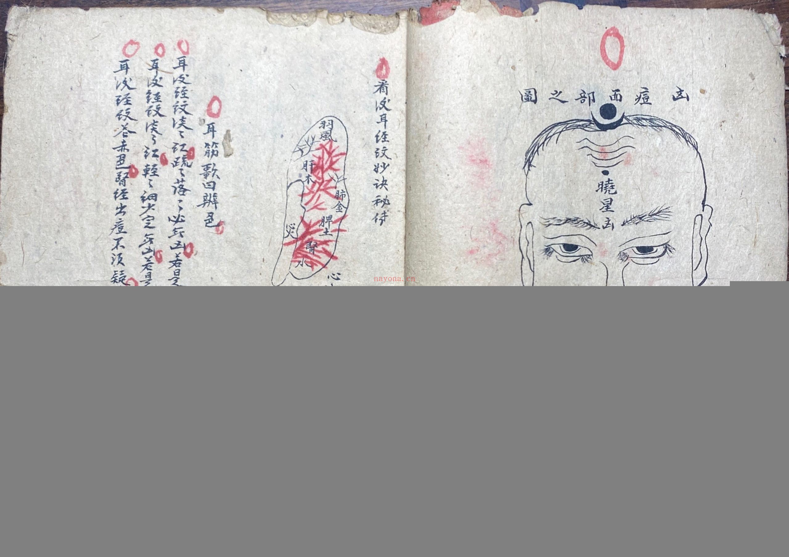 妙手生春医门广单