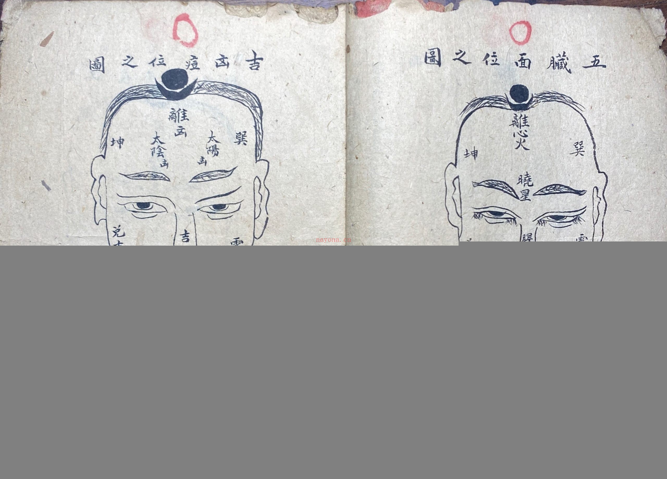 妙手生春医门广单