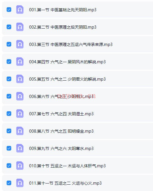 仁普先生中医原理五运六气详解39节音频 中医课程