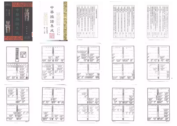 C0042_中华族谱集成_张氏谱卷_第一六册.pdf[地方藏谱] - A更新