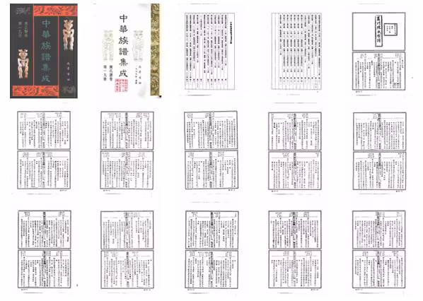 C0116_中华族谱集成_陈氏谱卷_第十九册.pdf[地方藏谱] - A更新