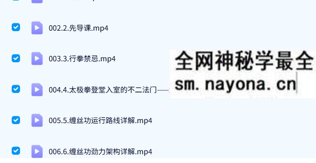 沅芷老师《炼神入道太极嫡传弟子班》89集