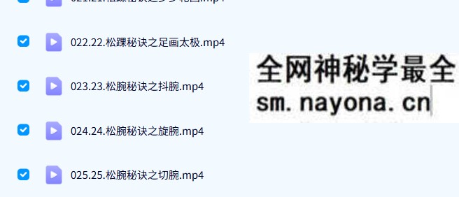 沅芷老师《炼神入道太极嫡传弟子班》89集