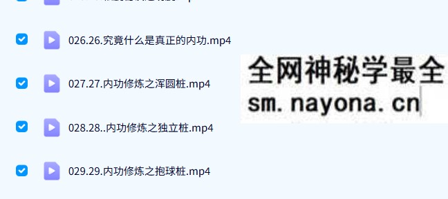 沅芷老师《炼神入道太极嫡传弟子班》89集