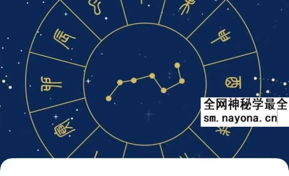 【重磅演禽牌】星牌师训练营 11集视频课