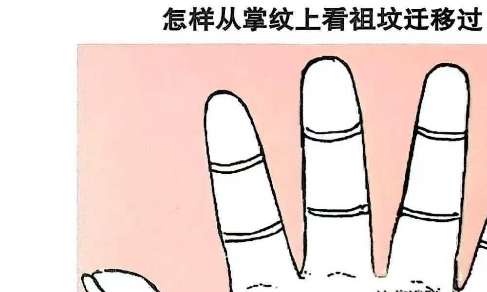 范炳檀《范公手相》254页