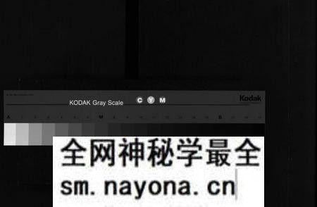 湖南王氏族谱-东湖王氏族谱 [不分卷].pdf电子版预览图