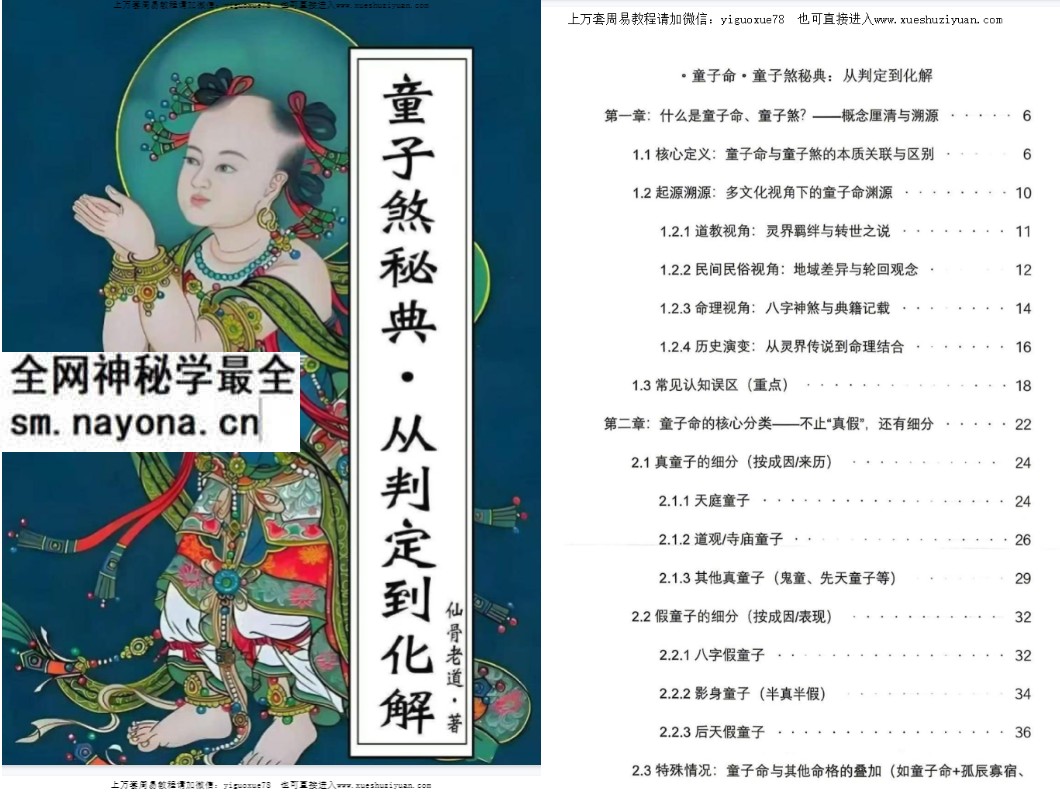 仙骨老道盲派绝技《童子命·童子秘煞典从判定化到解》278页