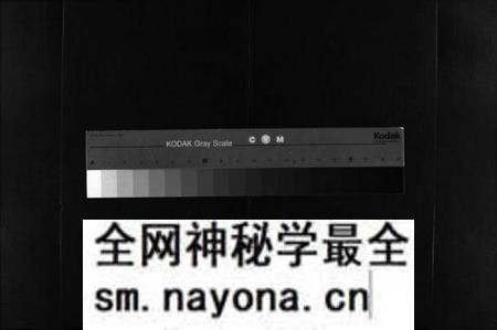 湖南王氏族谱-王氏应贵公支谱 [10卷].pdf电子版预览图