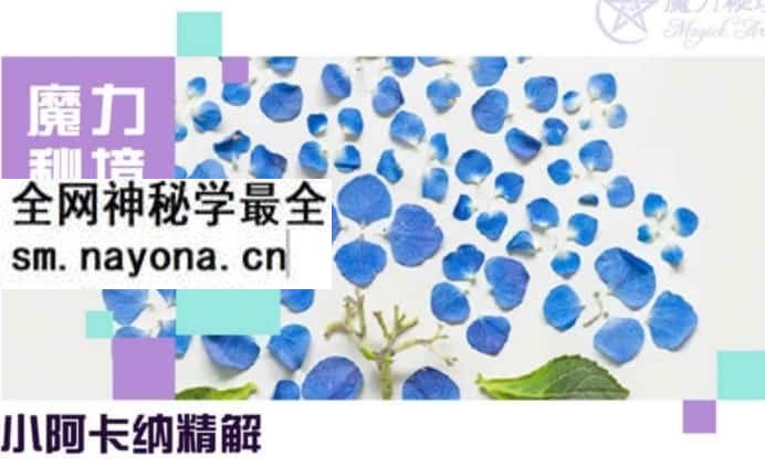 残雪塔罗视频合集视频初级高级中级音频+讲义