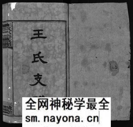 湖南王氏族谱-沩宁王氏八修支谱 [10卷].pdf电子版预览图2