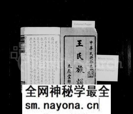 湖南王氏族谱-王氏族谱 [12卷,首2卷].pdf电子版预览图2