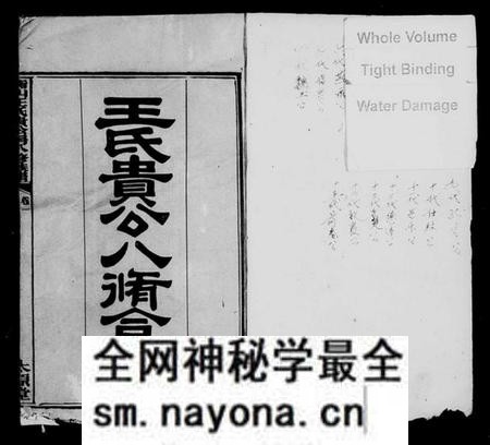 湖南王氏族谱-衡山王氏贵公房八修族谱 [12卷].pdf电子版预览图2