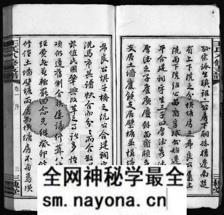 湖南王氏族谱-沩宁王氏八修支谱 [10卷].pdf电子版预览图5