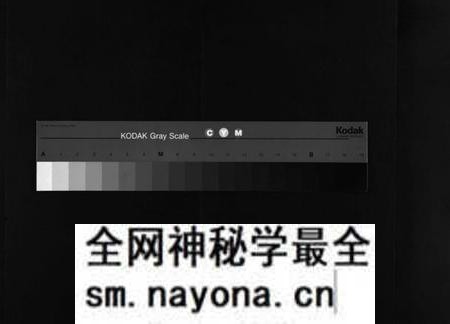湖南王氏族谱-沩宁王氏八修支谱 [10卷].pdf电子版预览图
