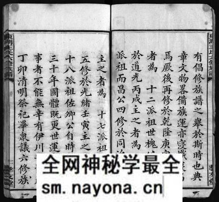 湖南王氏族谱-东湖王氏族谱 [不分卷].pdf电子版预览图4