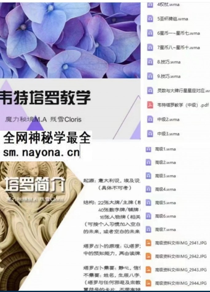 残雪塔罗视频合集视频初级高级中级音频+讲义
