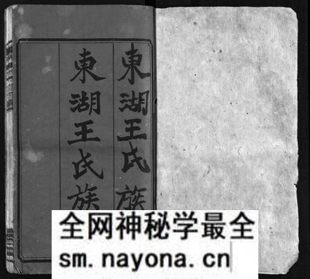 湖南王氏族谱-东湖王氏族谱 [不分卷].pdf电子版预览图2