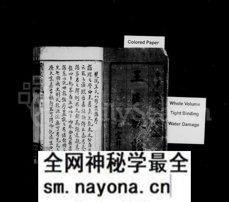 湖南王氏族谱-王氏族谱 [12卷,首2卷].pdf电子版预览图3