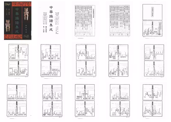 C0131_中华族谱集成_刘氏谱卷_张海瀛等主编14.pdf[地方藏谱] - A更新