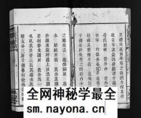 湖南王氏族谱-王氏应贵公支谱 [10卷].pdf电子版预览图3