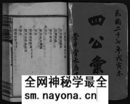 湖南王氏族谱-衡阳渔溪王氏房谱 [残卷].pdf电子版预览图2