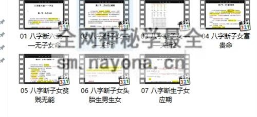 A2394易芯八字高级班——实战课（新）视频
