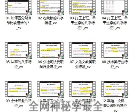 A2394易芯八字高级班——实战课（新）视频