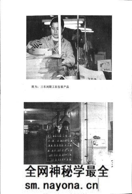 《黄石第三橡胶厂志》.pdf电子版_湖北省志预览图5 《黄石第三橡胶厂志》.pdf电子版_湖北省志预览图5