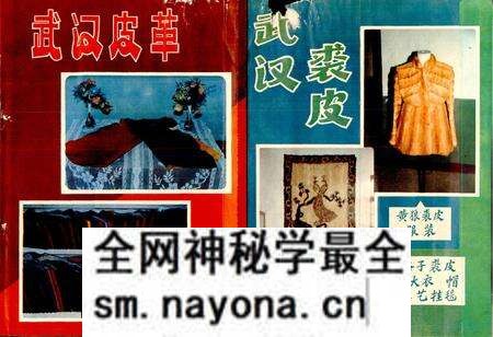 《武汉皮革工业志》.pdf电子版_湖北省志预览图1 《武汉皮革工业志》.pdf电子版_湖北省志预览图1