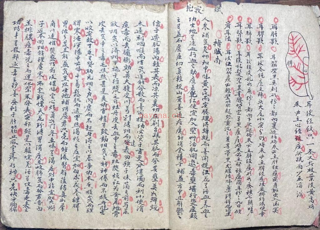 《妙手生春医门广单》10
