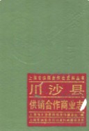 川沙县供销合作商业志                    1988年版